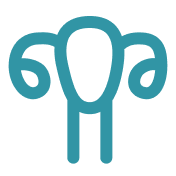 icon-park-outline_uterus